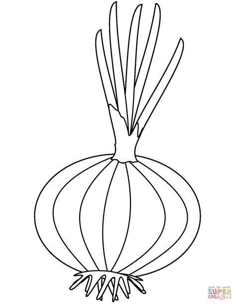 onion coloring pages