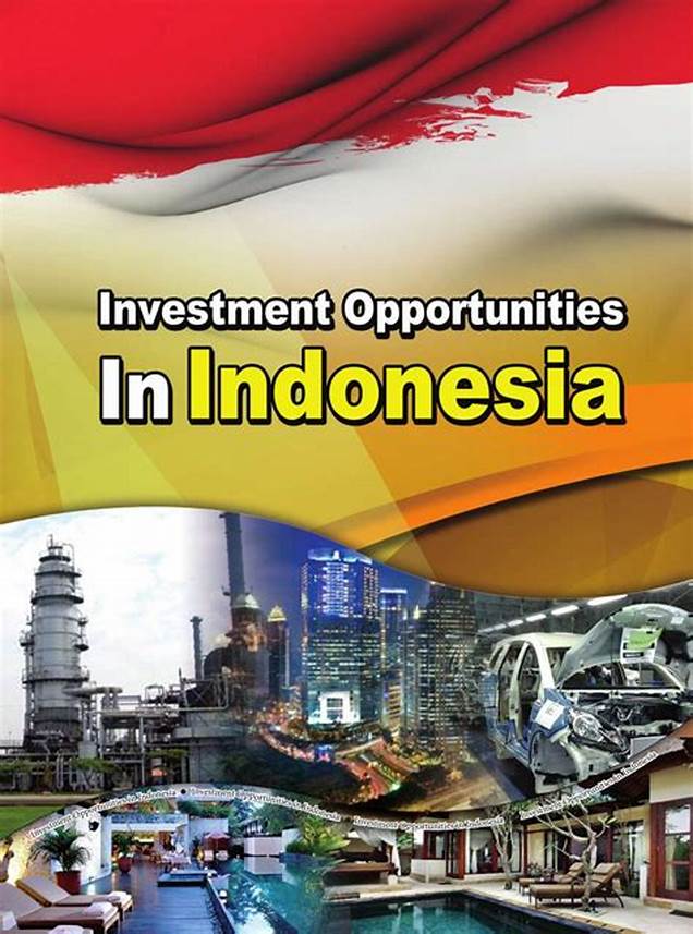 opportunities in Indonesia