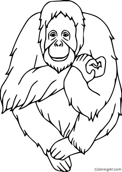 orangutan coloring