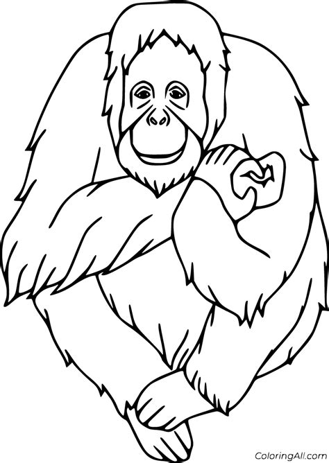orangutan coloring pages