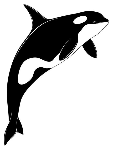 orca pictures to print