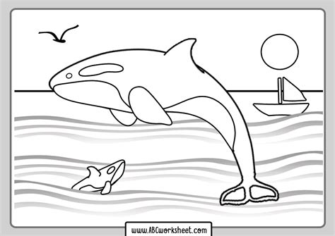 orca whale coloring page