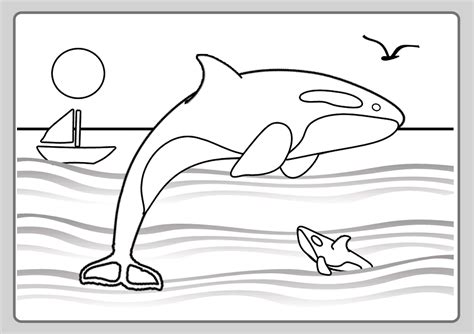 orcas coloring pages