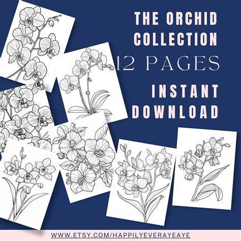 orchid coloring book