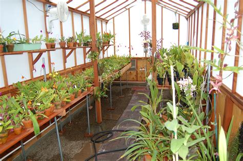 orchid greenhouse