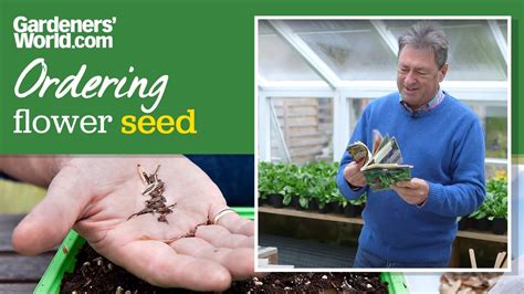 ordering flower seed