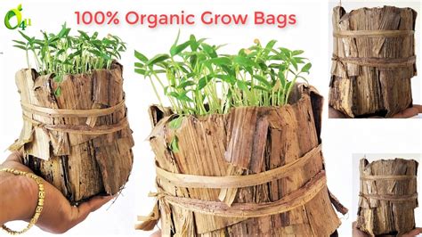 organic grow bags