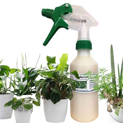 organic spray for plants
