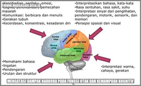 otak dan narkoba