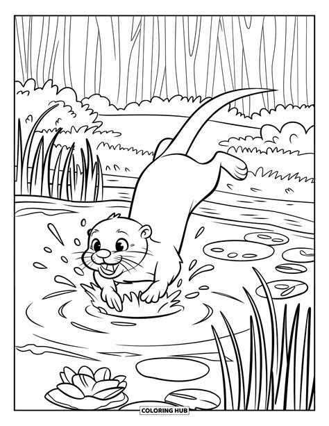 otter colouring