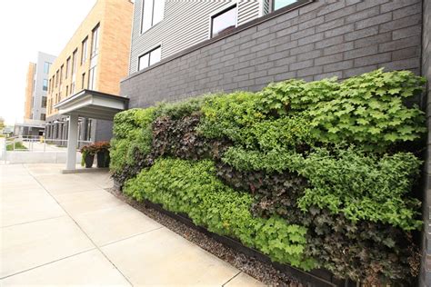 outdoor green wall