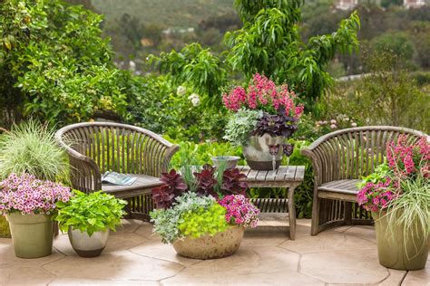 outdoor plants for patio