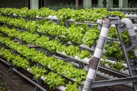 outdoor vertical farming
