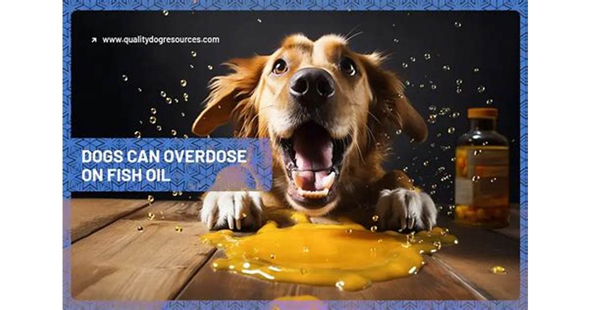 overdose fish oil in dogs