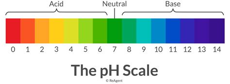 Level Scale