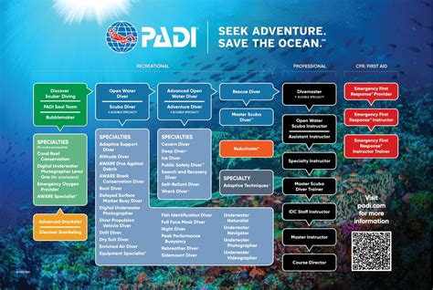 Padi Certification Chart