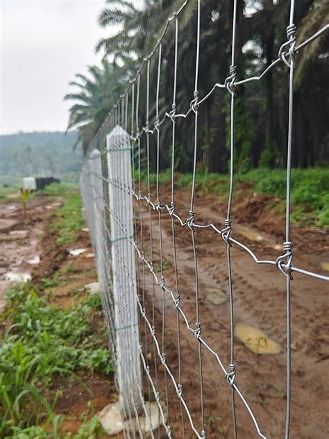 pagar kebun