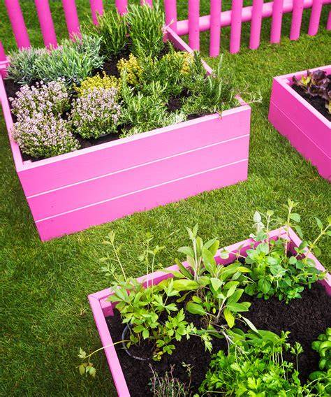 painted raised garden bed