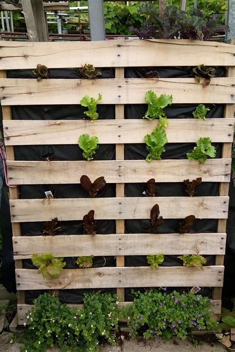 pallet hanging garden