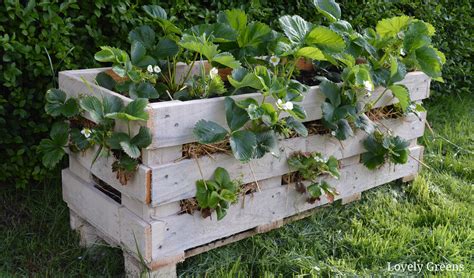 pallet strawberry planter