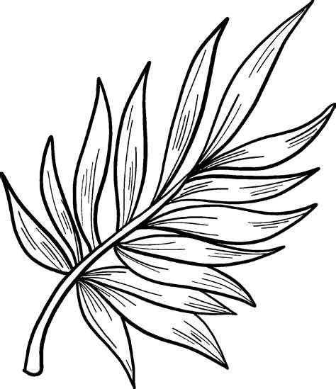 palm leaves coloring pages