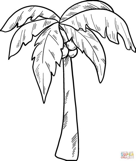 palm tree coloring pages