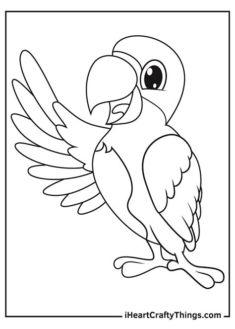 parrot picture for colouring