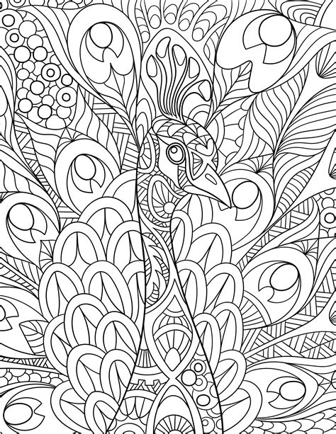 peacock adult coloring pages