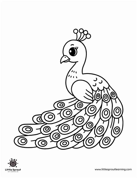 peacock coloring