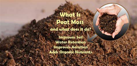 peat moss