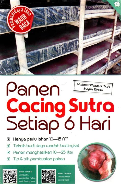 Penjual Cacing Sutra Semarang