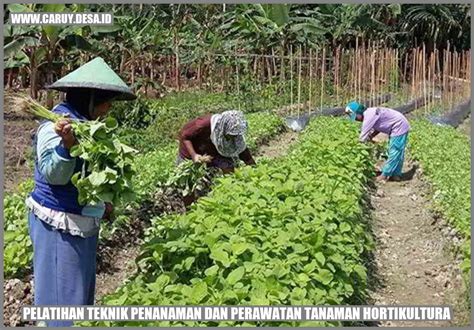 perawatan tanaman