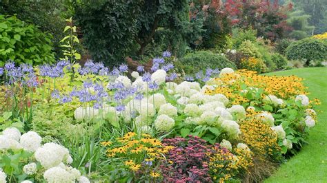 perennial garden tips