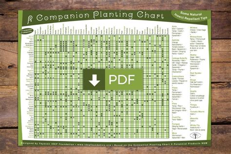 permaculture companion planting chart