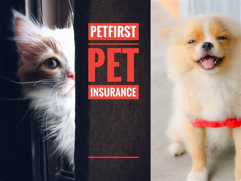 PetFirst Pet Insurance Reviews
