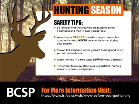 pets and hunters safety tips