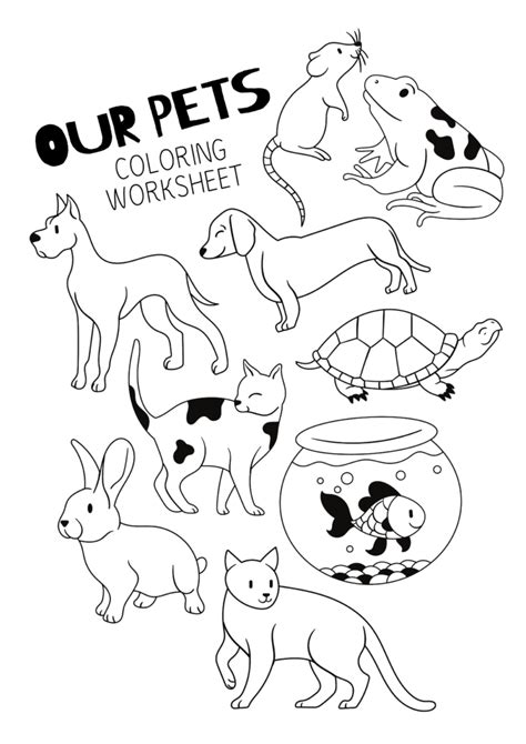 pets colouring pictures