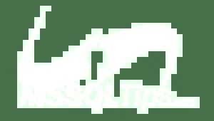 Pg Catalog Pg Locks Pg Activity Pg Index