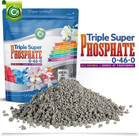 phosphorus fertilizer for hydrangeas