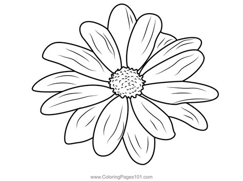 picture of a daisy flower to color