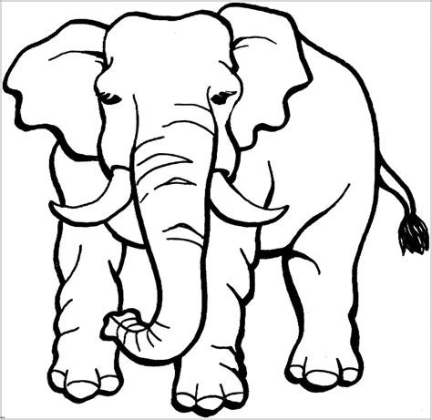 picture of elephant for colouring