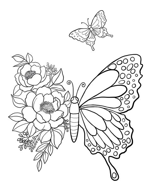 pictures of butterflies coloring pages