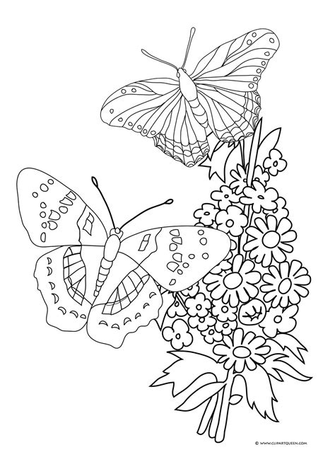 pictures of flowers and butterflies to color