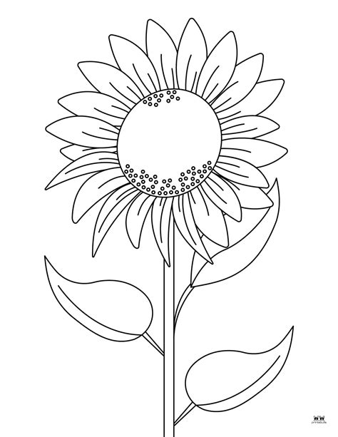 pictures of flowers to color free printables