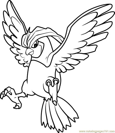 pidgeotto coloring pages