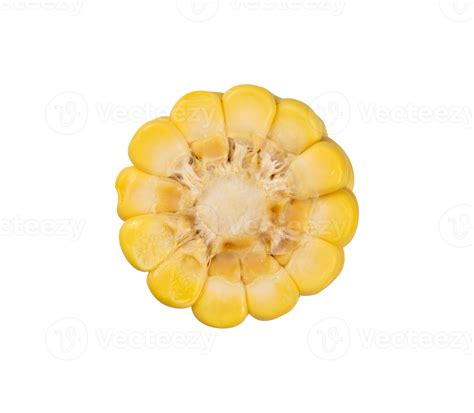 piece of corn