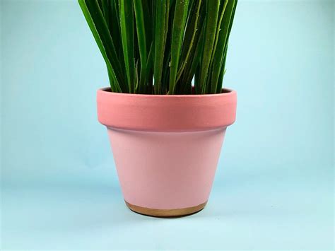 pink plant pot