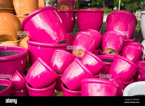 pink plant pots