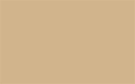 plain light brown background
