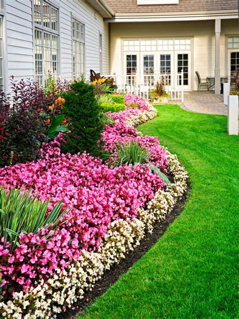 plant border edging